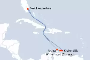 Celebrity Reflection