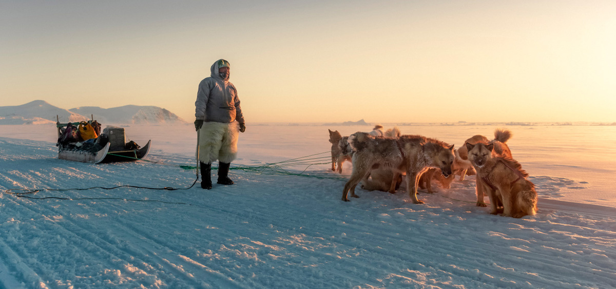 2- Expertise et immersion