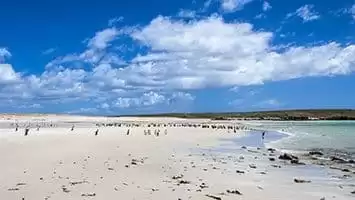 Falkland Islands