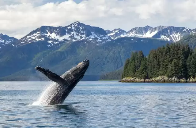 In Juneau