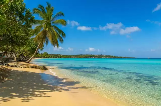 Sainte-Anne en Guadeloupe