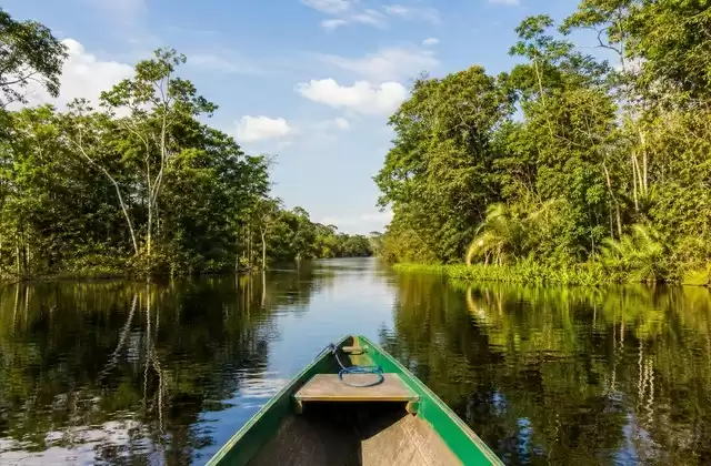 Manaus