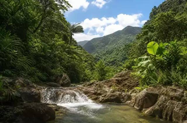 In Puerto Rico
