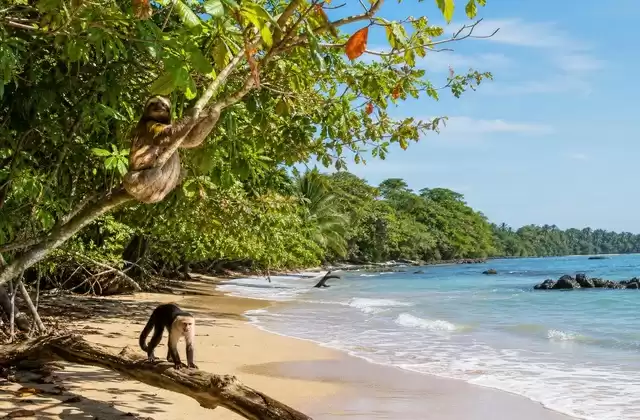 Autour de Cahuita