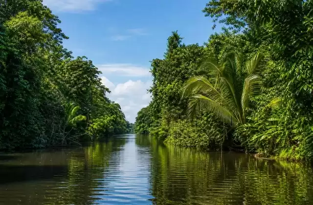 Depuis Puerto Limón