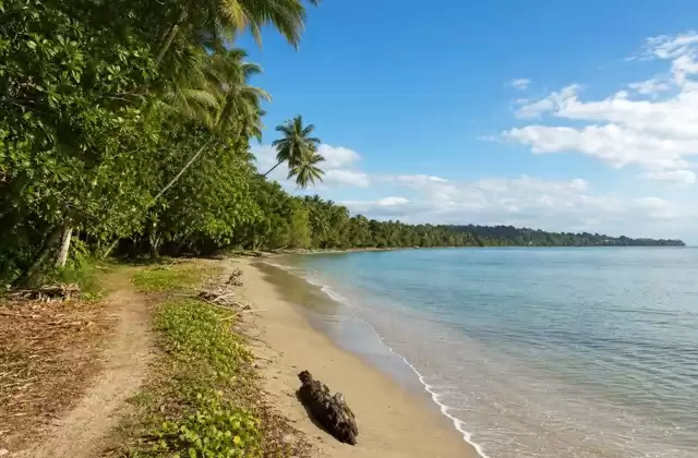 À Cahuita