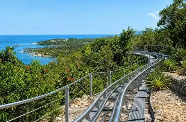 Dragon's Tail Coaster