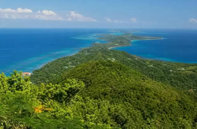 In Roatán's interior