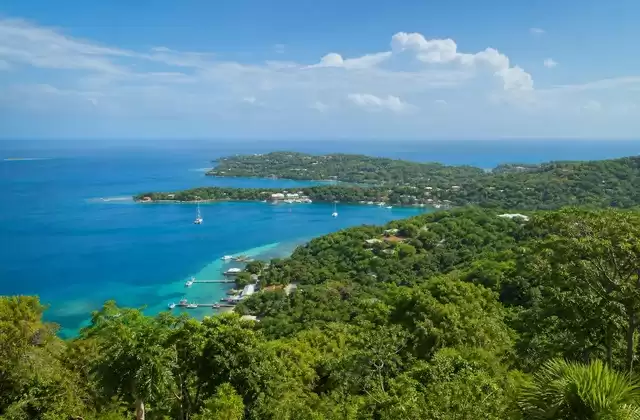 From Roatán's hills