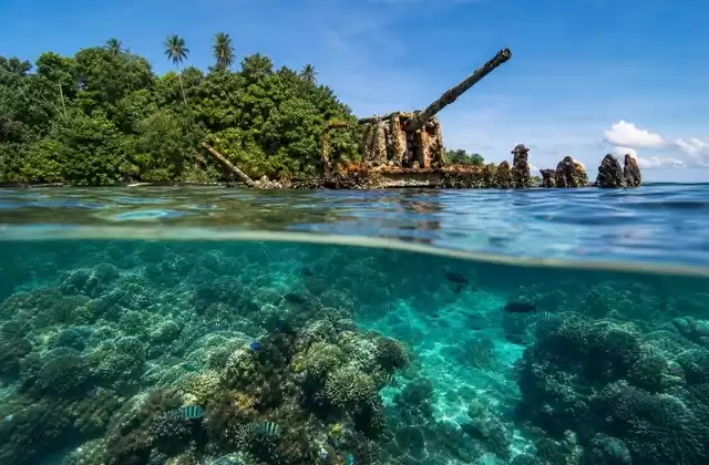 Around Kennedy Island