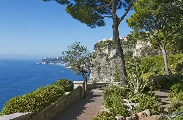 In Saint Martin Gardens