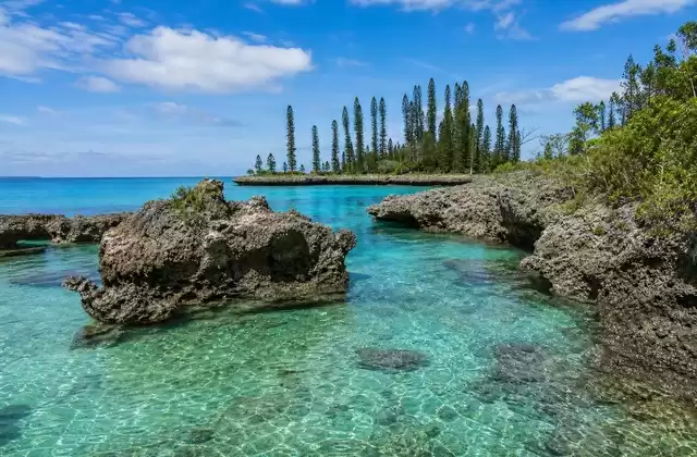 À l’île des Pins