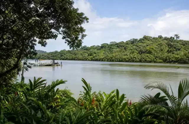 In Gamboa