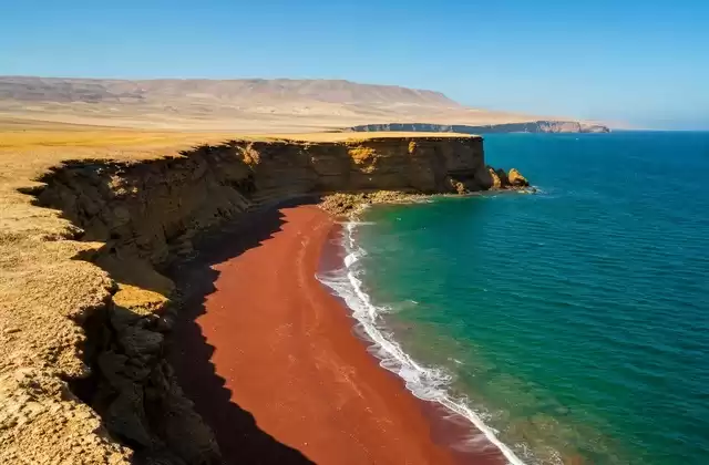 Dans la réserve de Paracas