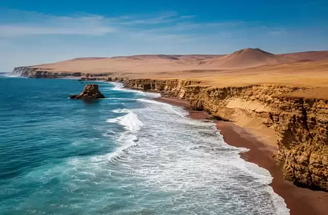 Dans la réserve de Paracas