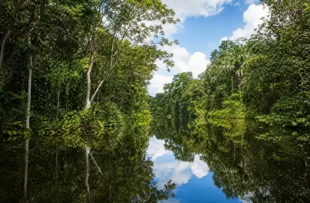 En Amazonie péruvienne