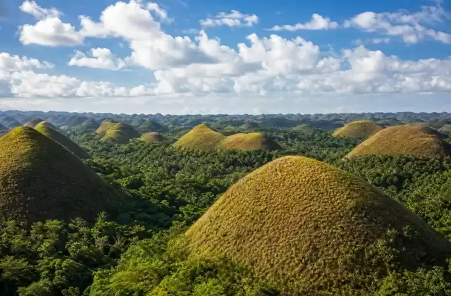 In Bohol