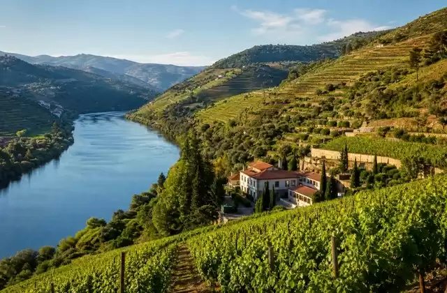 Dans le Douro