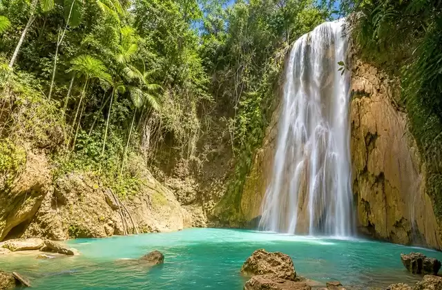 In El Limón