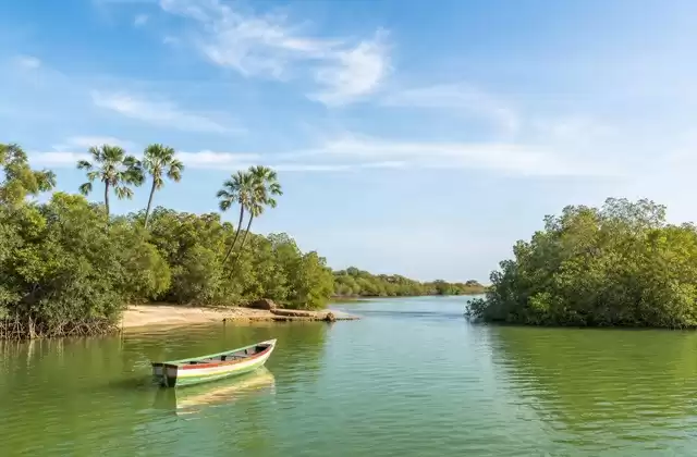 In the Sine-Saloum