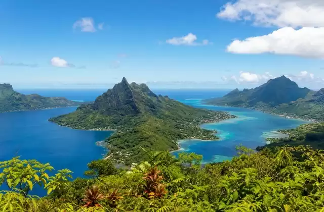 In Moorea
