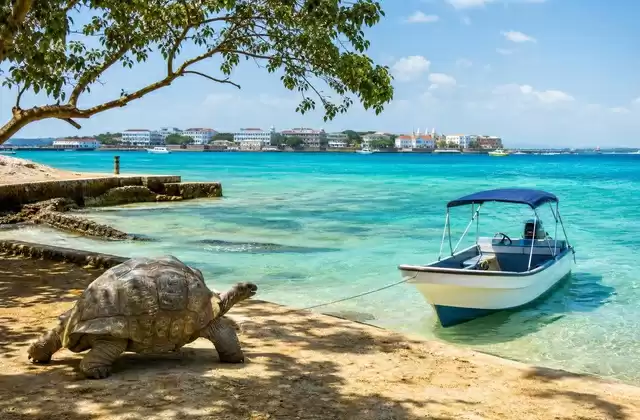 On Prison Island
