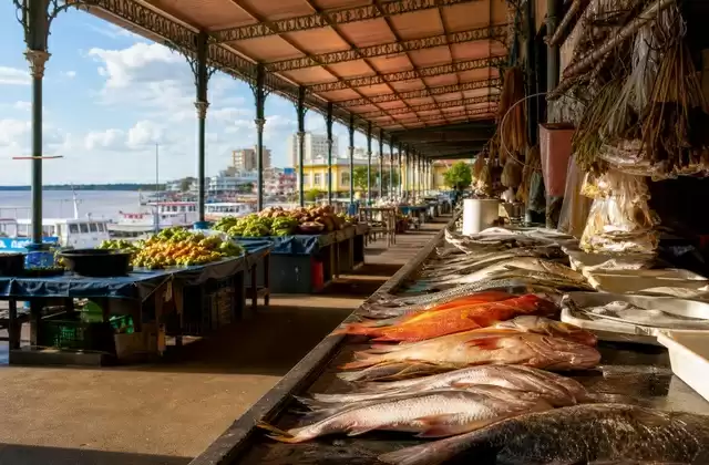 Manaus
