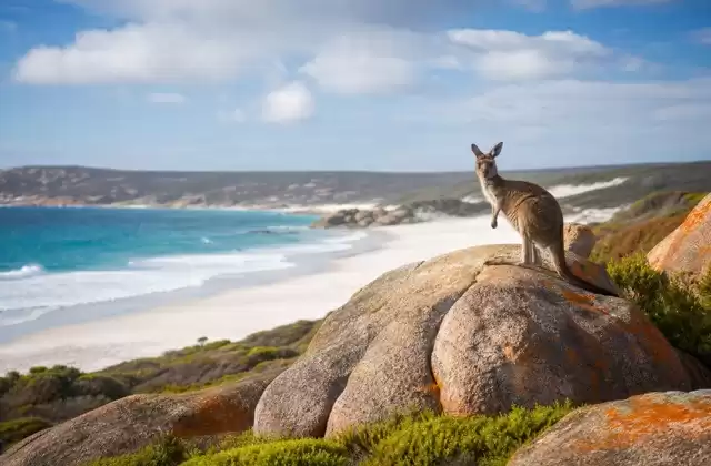 Kangaroo Island