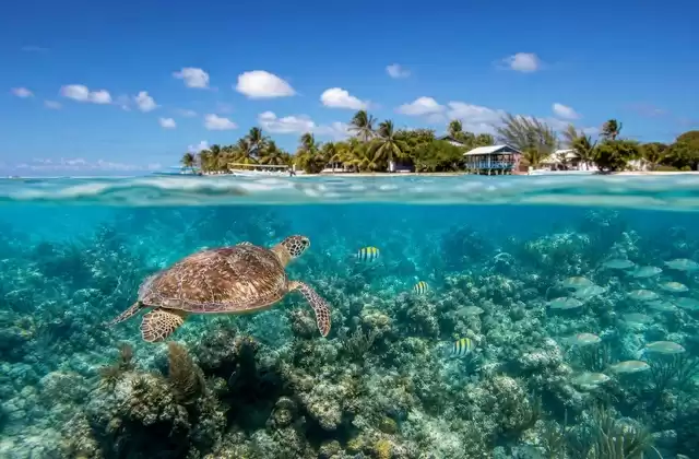 Hol Chan Marine Reserve