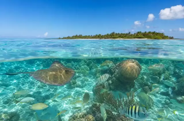 Hol Chan Marine Reserve