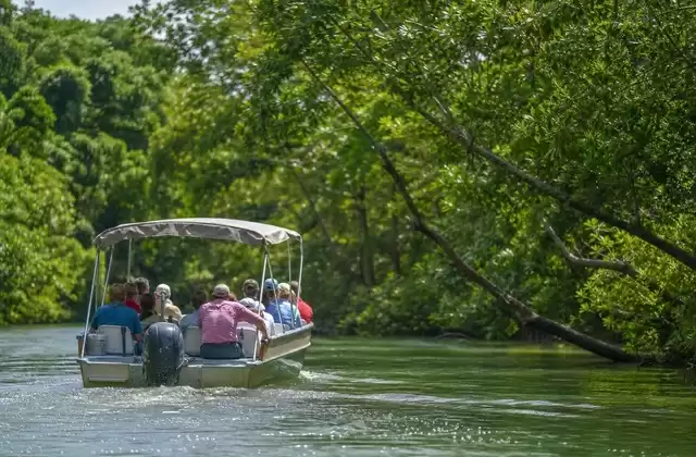 Monkey River
