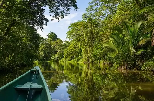 Canaux de Tortuguero