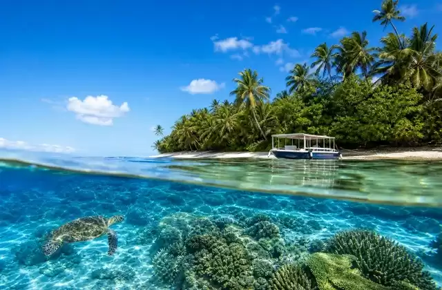 Solomon Islands