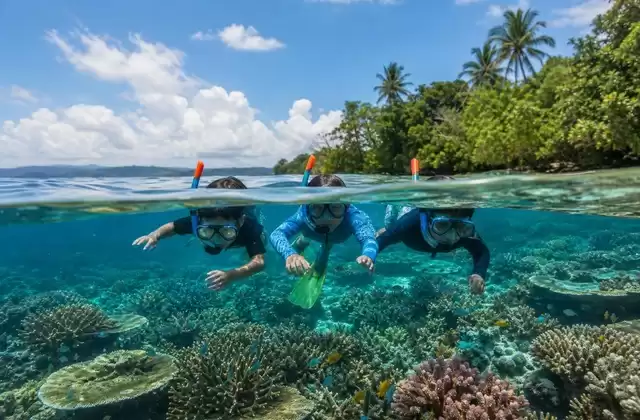 Coral reefs