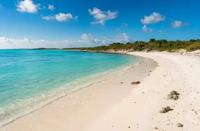 Cow Wreck Beach