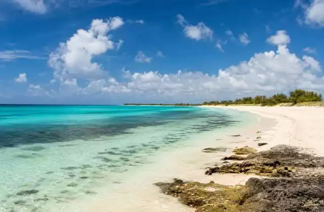 Loblolly Bay