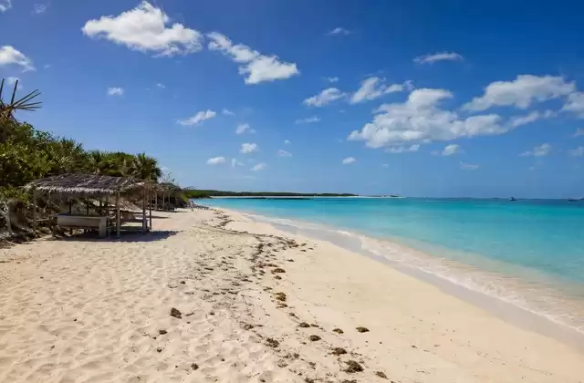 Cow Wreck Beach