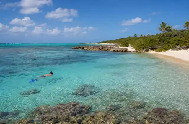 Loblolly Bay