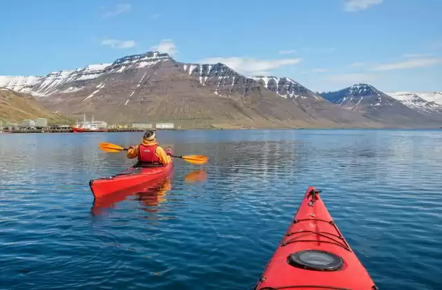 Sea kayaking in the fjord