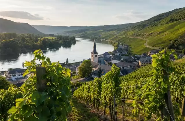 Wine Route