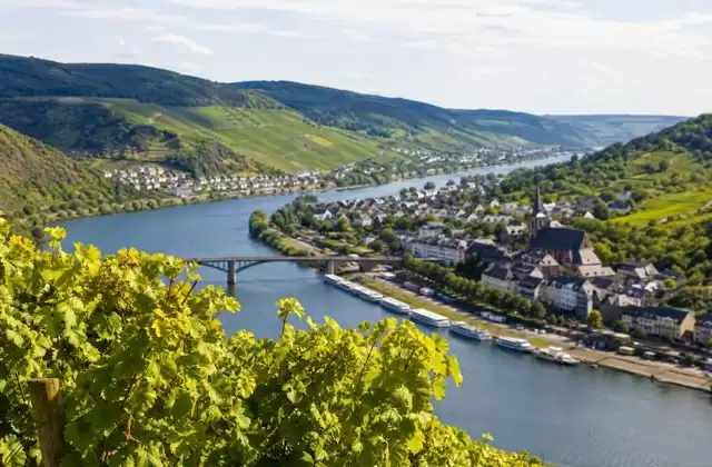 Wine Route