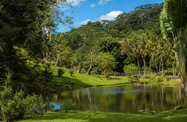 Ivoloina Park