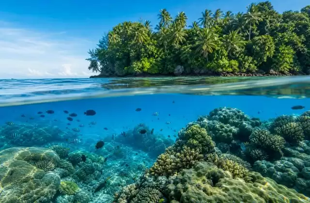 Récifs de Kosrae