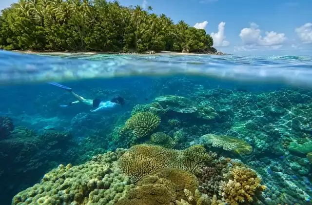 Récifs de Kosrae