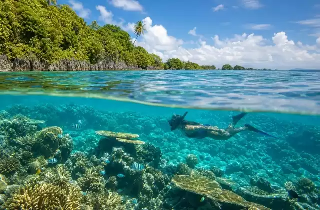 Récifs de Kosrae