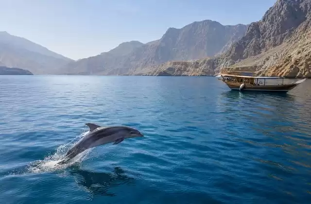 Musandam fjords