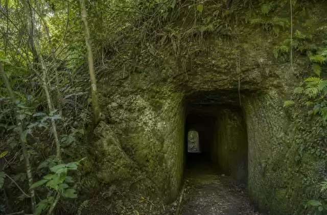 Tunnels japonais