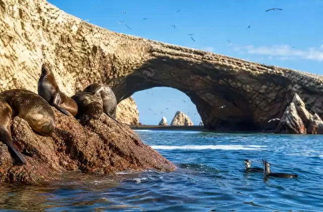 Îles Ballestas