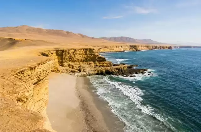 Réserve nationale de Paracas
