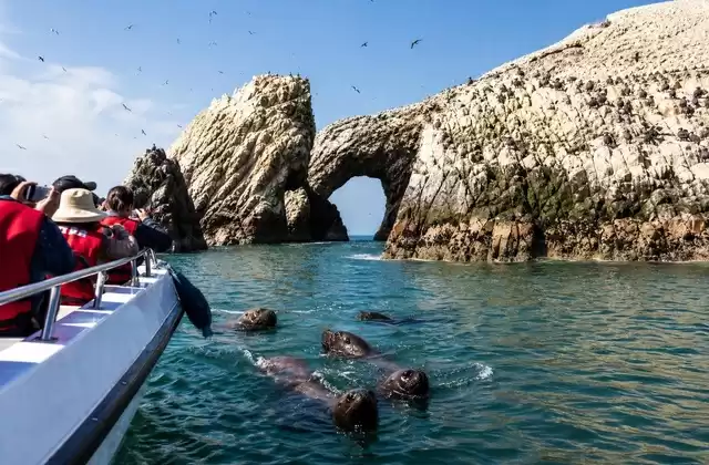 Îles Ballestas